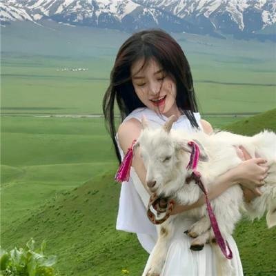 傻瓜大闹香蕉城